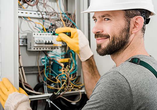 Professional inspector